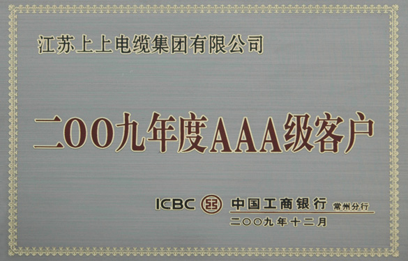 江苏BBIN宝盈集团电缆集团荣获“中国工商银行2009年度AAA级客户”称号