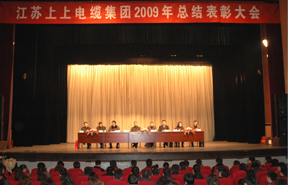 江苏BBIN宝盈集团电缆集团隆重召开2009年度总结表彰大会